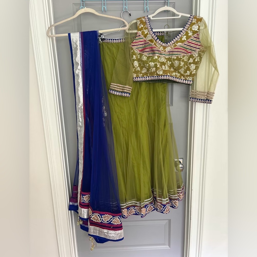 Mendhi Green and Blue Embroidered Lehenga Choli